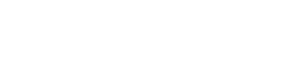 Logo Flexline